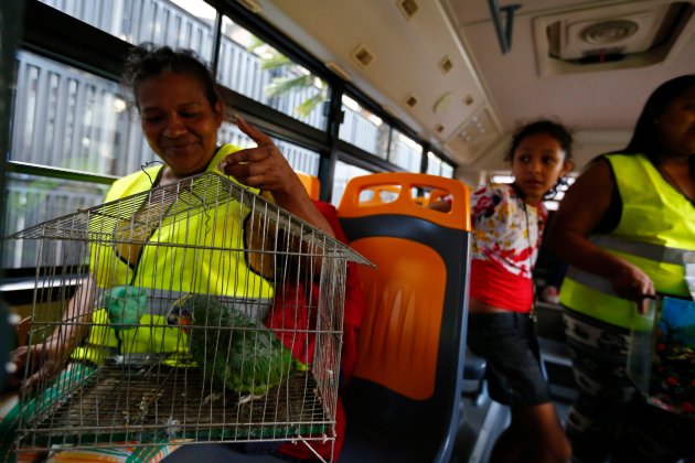 Evicted resident of Tower of David Maria Davila and her parrot Coti sit in a bus which will transport them to their new home in Caracas