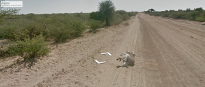 Google desmiente que haya atropellado a un burro en Botsuana (Foto)