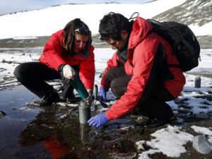 Buscan en la Antártica microbios que depuren las aguas negras de las ciudades