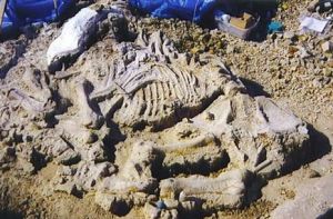 Extraen esqueleto de una mamut en Serbia