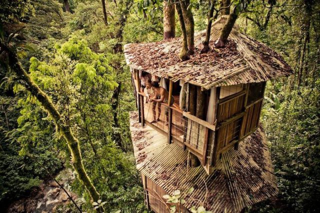 Impresionantes casas de árbol para turistas (FOTOS)