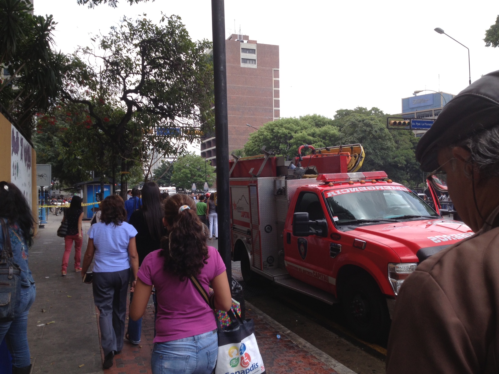 Abejas en Altamira genera retraso vehicular y polémica en Twitter