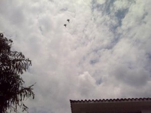Los Sukhoi sobrevuelan el cielo caraqueño (Foto)