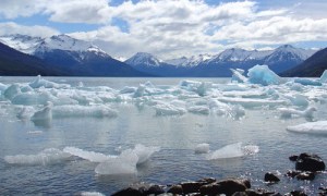 Deshielo de glaciares afecta a especies de lagos en Argentina