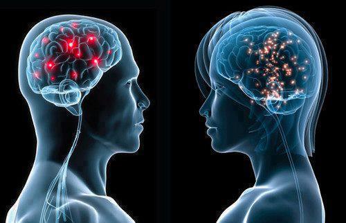 Cerebro femenino es más pequeño pero más potente y eficaz