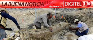 Recuperan 50 vértebras de la primera cola articulada de dinosaurio en México
