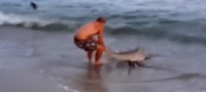 Fue a pescar a la playa y se llevó un tiburón (Video)