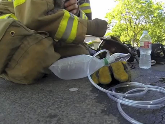 Así resucita un bombero a un gatito inconsciente por un incendio (Video)