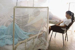 Van 46 mil casos de malaria en el país