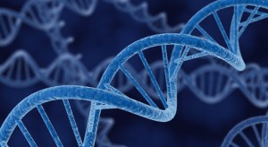 Tener ADN de los neandertales incrementa el riesgo de sufrir hasta 12 enfermedades