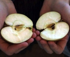 ¿Cómo partir una manzana con manos? (Video)