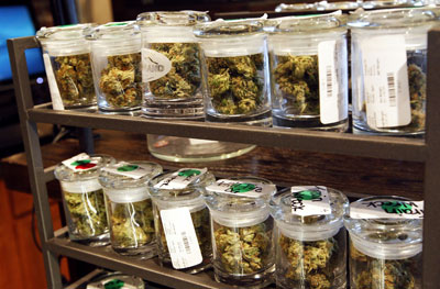 Solo 10 gramos de marihuana por semana podrán comprar usuarios en Uruguay