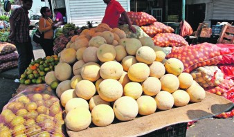 Precio del melón ha disminuído en Puerto La Cruz