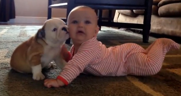 La emotiva muestra de cariño entre un cachorro y un bebé (Video)