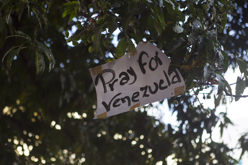 Hasta los árboles protestan en Caracas (Fotos)