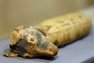 Museo de California exhibe momias de animales