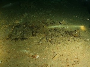 Esqueleto más antiguo de América es hallado en México