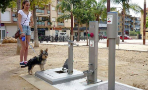 Inauguran primer baño público para perros en España