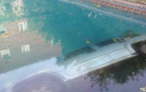Conductora se pasa de copas y termina estacionada en el fondo de una piscina