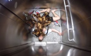 El “perro-araña”… la aterrorizante broma que se convirtió en viral (Video)