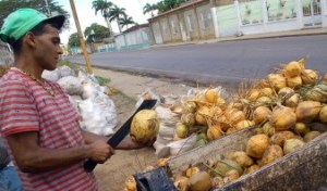 Sigue la lucha contra el virus con agua de coco y guarapos