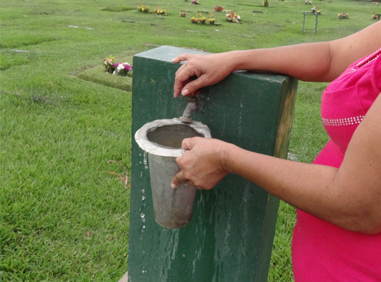 Por chikungunya, proponen no colocar agua en floreros de cementerios