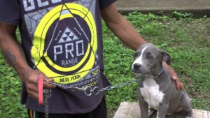 Terapia canina contra el estrés en prisión (Video)