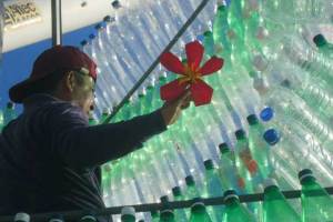 A punta de botellas plásticas armaron este árbol navideño en Maracaibo (+ video)