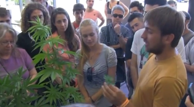 Uruguay abre su primera feria de marihuana (Video)