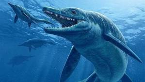Descubren monstruo marino que vivió hace 480 millones de años