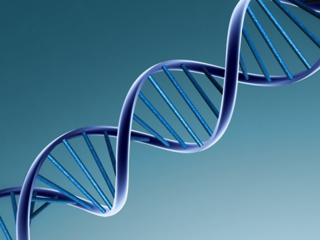 Polémica científica ante estudio que modificó ADN en embriones humanos