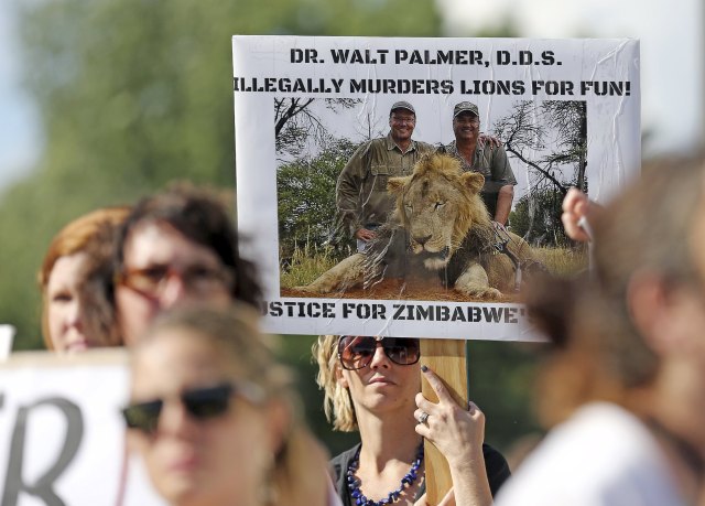Protesters hold signs during a rally outside the River Bluff Dental clinic against the killing of a famous lion in Zimbabwe, in Bloomington, Minnesota July 29, 2015. Wildlife officials on Tuesday accused American hunter Walter Palmer of killing Cecil, one of the oldest and most famous lions in Zimbabwe, without a permit after paying $50,000 to two people who lured the beast to its death. As of Tuesday, Palmer had temporarily closed his office, River Bluff Dental, in Bloomington, Minnesota, amid wishes for his death and widespread criticism of his hunting on social media and under business reviews on Google and Yelp.  REUTERS/Eric Miller