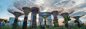 Crean en Singapur árboles artificiales de 50 m que generan electricidad (VIDEO)