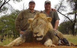 El cazador que mató al león Cecil es estadounidense y dentista