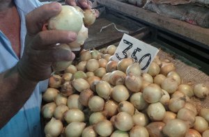 En un mes aumentó 30%: Kilo de cebolla en 430 bolívares