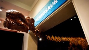 Estudio muestra que hubo 2.500 millones de Tiranosaurios rex