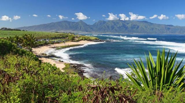 Maui La isla pasó del segundo al primer puesto en un año en los premios de TripAdvisor. (Foto: iStock by Gettyimages)