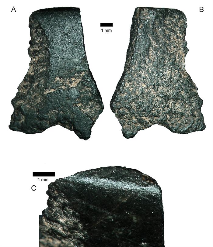 Hallan el posible fragmento de hacha más antiguo del mundo en Australia