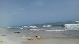 Horror en las playas de Libia: aparecieron los cuerpos de 85 migrantes muertos