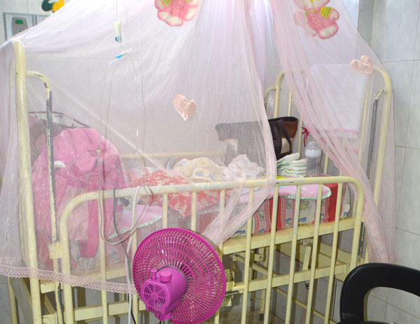 Piden fumigación en sala pediátrica en hospital de Vargas por proliferación de moscas y chiripas