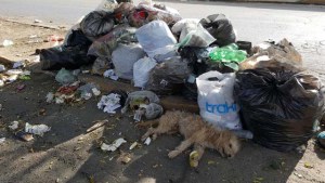 Insalubridad en Guacara por gran acumulación de basura en varios sectores
