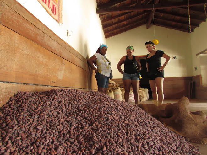 Sin agua no hay cacao: La situación en la Costa de Oro de Aragua (vía @VivaElCacao)