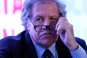 Almagro: Padrino López, ha apartado a las FFAA de sus compromisos fundamentales… respetar la Constitución