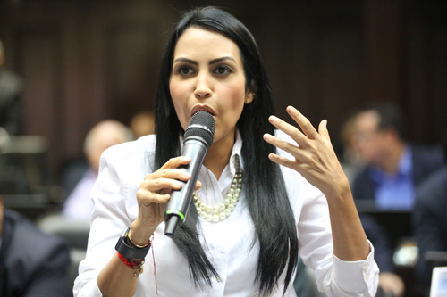 Delsa Solórzano: El  principal esbirro del gobierno es el Ministro Néstor Reverol