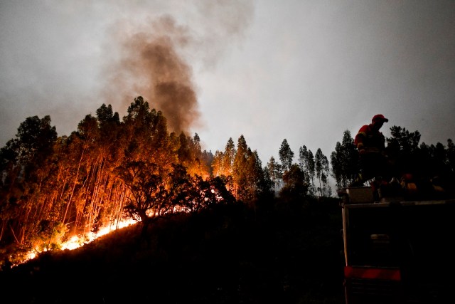 A firefighter stands on top of a fire combat truck during a wildfire at Penela, Coimbra, central Portugal, on June 18, 2017 A wildfire in central Portugal killed at least 25 people and injured 16 others, most of them burning to death in their cars, the government said on June 18, 2017. Several hundred firefighters and 160 vehicles were dispatched late on June 17 to tackle the blaze, which broke out in the afternoon in the municipality of Pedrogao Grande before spreading fast across several fronts. / AFP PHOTO / PATRICIA DE MELO MOREIRA