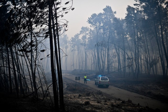A policeman stands by a dead body of a victim of a wildfire in Pedrogao, on June 18, 2017. A wildfire in central Portugal killed at least 57 people and injured 59 others, most of them burning to death in their cars, the government said on June 18, 2017. Several hundred firefighters and 160 vehicles were dispatched late on June 17 to tackle the blaze, which broke out in the afternoon in the municipality of Pedrogao Grande before spreading fast across several fronts. / AFP PHOTO / PATRICIA DE MELO MOREIRA