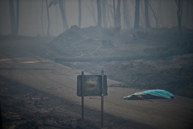 The dead body of a victim of a wildfire lies covered by a blanket on a road in Pedrogao, on June 18, 2017. A wildfire in central Portugal killed at least 57 people and injured 59 others, most of them burning to death in their cars, the government said on June 18, 2017. Several hundred firefighters and 160 vehicles were dispatched late on June 17 to tackle the blaze, which broke out in the afternoon in the municipality of Pedrogao Grande before spreading fast across several fronts. / AFP PHOTO / PATRICIA DE MELO MOREIRA