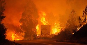 Al menos 24 muertos en un incendio declarado en el centro de Portugal