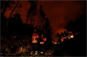 Inmenso incendio en Portugal deja 62 muertos, según un nuevo balance