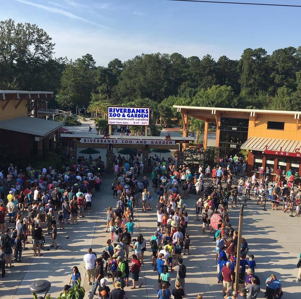 Centenares de estadounidenses se reúnen en los Zoológicos para ver a los animales durante el eclipse